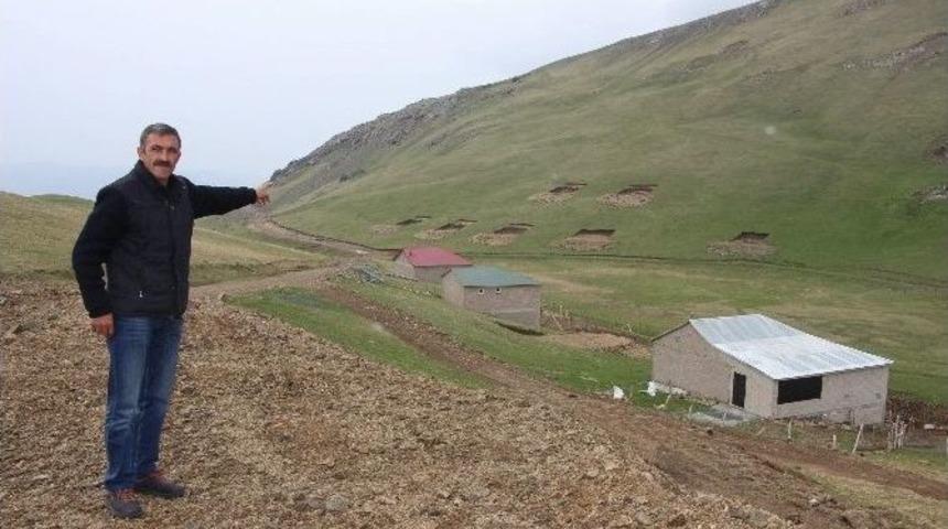 Yaylayı K&ouml;stebek Tarlasına &Ccedil;evirmişler