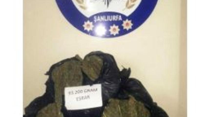 Su&ccedil; Makinesi 93 Kilo Esrarla Yakalandı