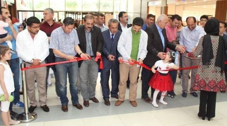 &Ccedil;ınar Koleji Tarafında Yıl Sonu Sergisi