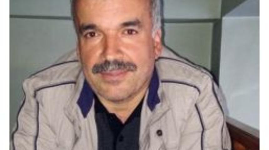 Kestiği Ağacın Altında Kalan Orman İş&ccedil;isi &Ouml;ld&uuml;