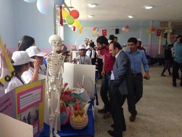 Birecik&rsquo;te T&uuml;bitak Bilim Fuarı A&ccedil;ıldı 3