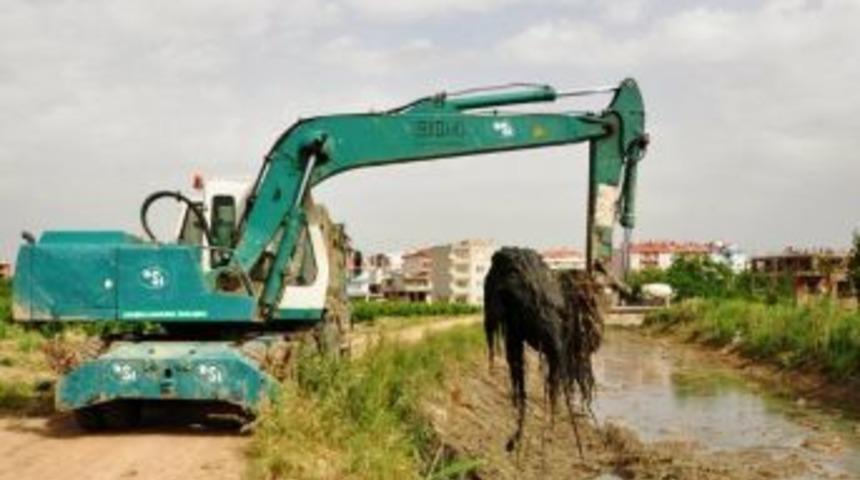 Lapseki&rsquo;de &Ccedil;ınarlıdere Temizleme &Ccedil;alışmaları
