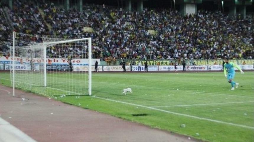 Kaleci Bu Defa Kaleye Giden Topu Değil Kediyi Tutmaya &Ccedil;alıştı