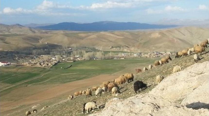 Van&rsquo;da Yayla G&ouml;&ccedil;&uuml; Başladı