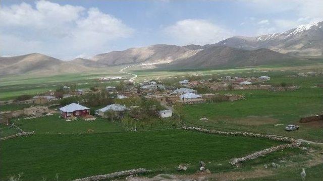 Van&rsquo;da Yayla G&ouml;&ccedil;&uuml; Başladı 1