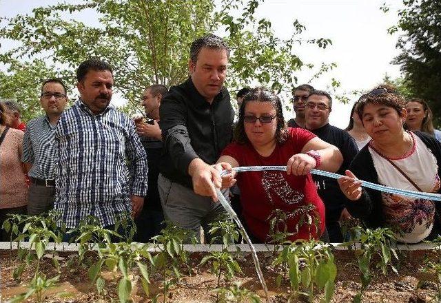 Engelsiz Hobi Bahçeleri’nde 2. Etap Sevinci