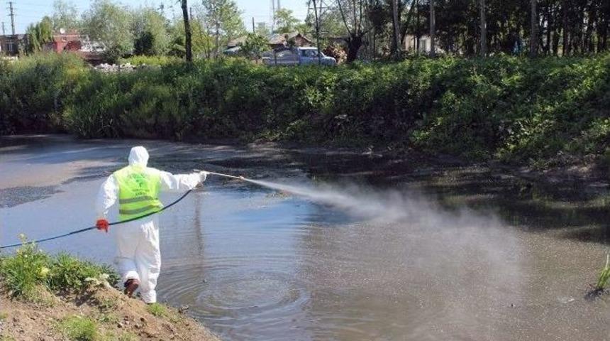 Tekkek&ouml;y Belediyesinden Sivrisinekle M&uuml;cadele &Ccedil;alışması