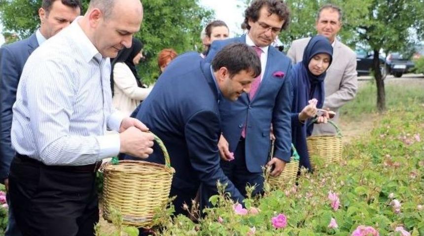 Bakan Soylu, G&uuml;l Topladı