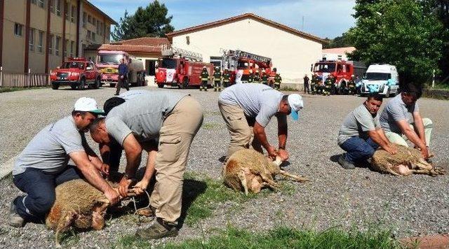 Altınova’da Toplu Açılış Coşkusu