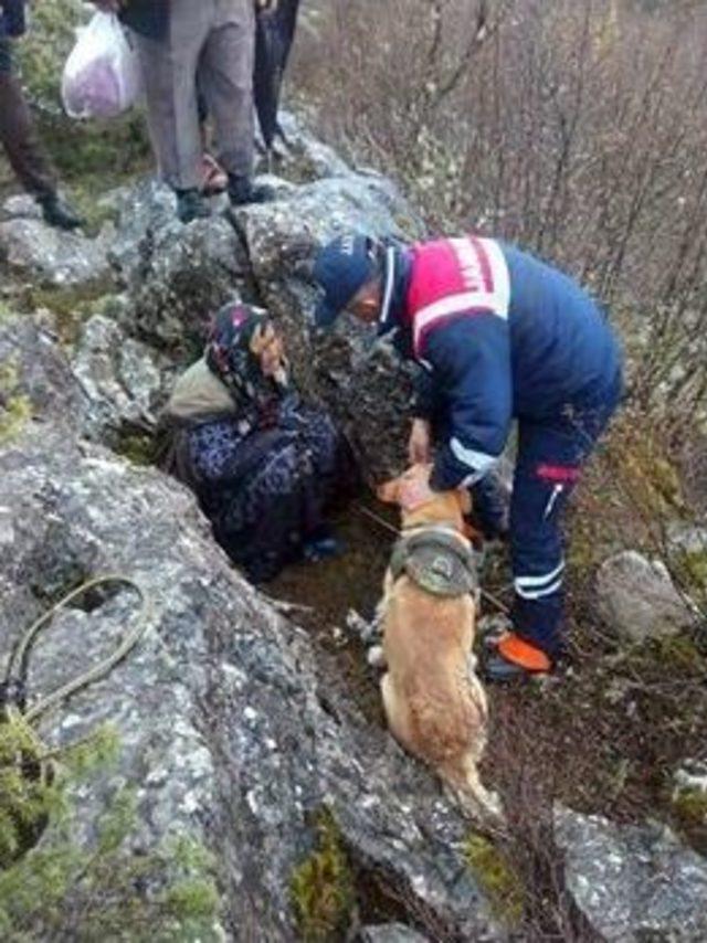 Pınarbaşı’nda Hayvan Otlatmaya Giden Kadın Kayboldu