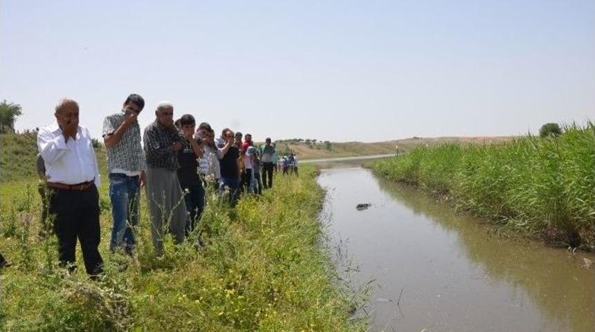 Kokan Gölet İçin Yol Kestiler