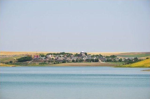 Kokan Gölet İçin Yol Kestiler