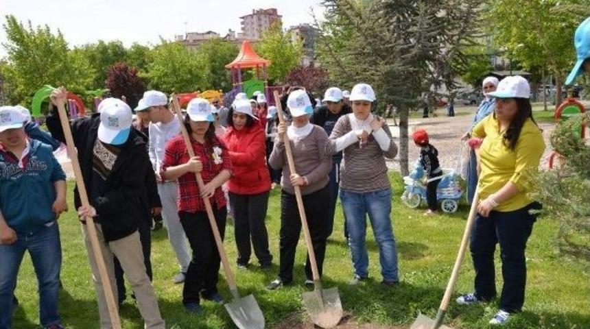 Zi&ccedil;ev &Ouml;ğrencileri Fidan Diktiler