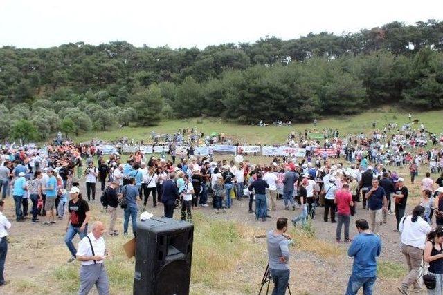 Termik Santrale Karşı Eylem Yaptılar