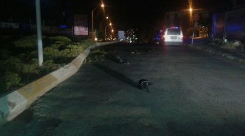 Kuşadalı Gen&ccedil; Kuyumcu Motosiklet Kurbanı Oldu