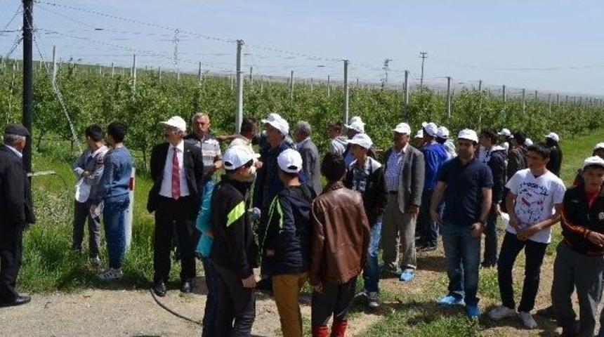 Kulu&rsquo;da D&uuml;nya &Ccedil;ift&ccedil;iler G&uuml;n&uuml; Kutlandı