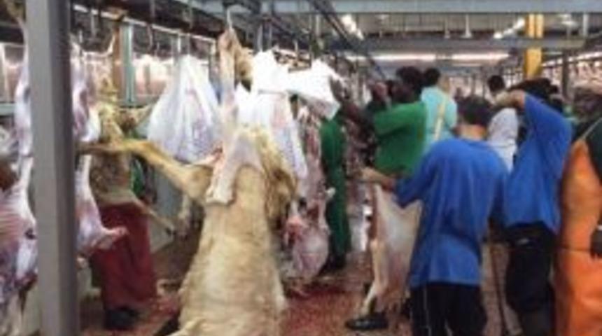 Mehmet&ccedil;ik İ&ccedil;in Kurban Kestiler