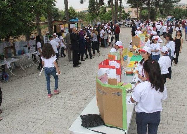 Ortaokul Öğrencisi Organik Sinek İlacı Yaptı