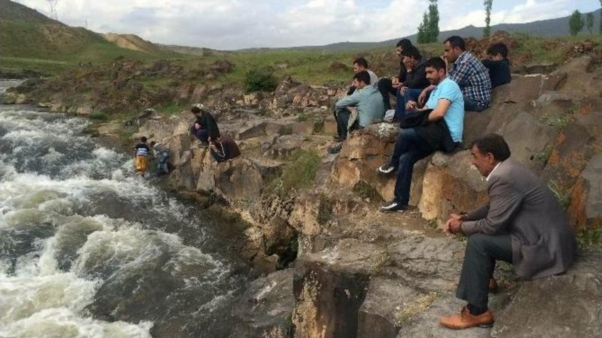 U&ccedil;an Balıklar Hayranlık Bırakıyor