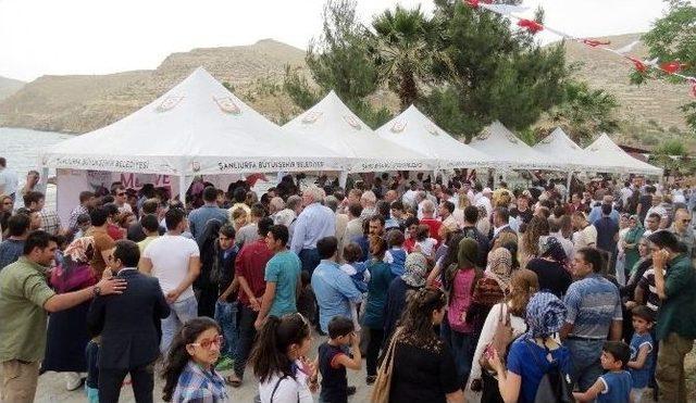 Meyve Yemekleri Festivalinde Lezzetler Halfeti’de Buluştu