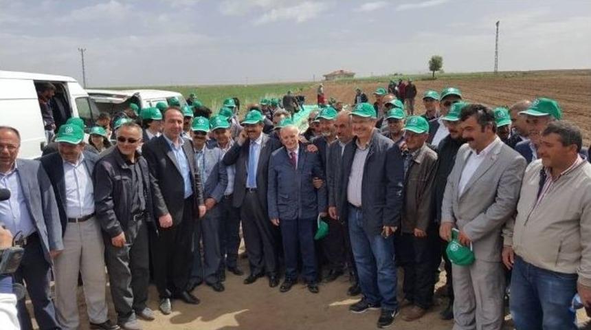 Kayseri Şeker, Kabak &Ccedil;ekirdeği İ&ccedil;in S&ouml;zleşmeli Ekim D&ouml;nemini Başlattı