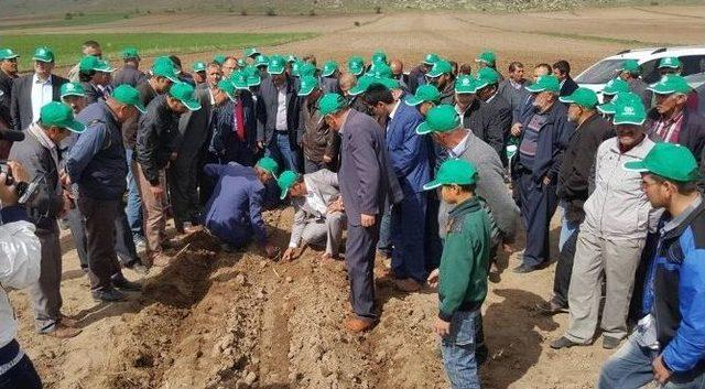 Kayseri Şeker, Kabak Çekirdeği İçin Sözleşmeli Ekim Dönemini Başlattı