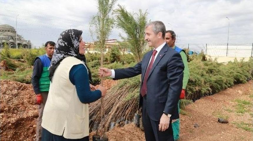 Şahinbey Gaziantep&rsquo;i Yeşillendiriyor