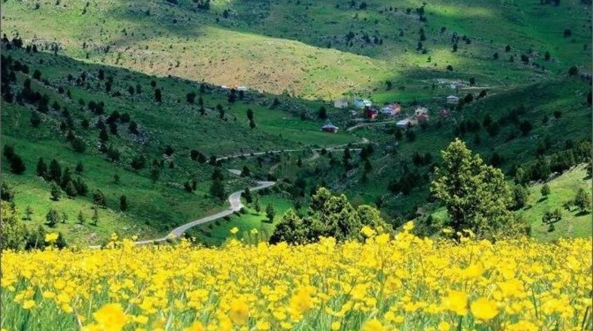 G&ouml;r&uuml;nt&uuml; Avcıları Tufanbeyli&rsquo;ye Geliyor