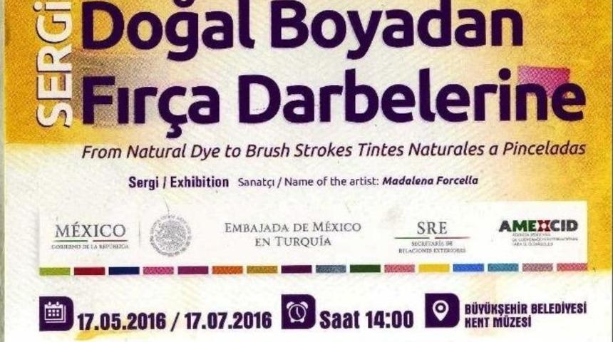 Doğal Boyadan Fır&ccedil;a Darbelerine