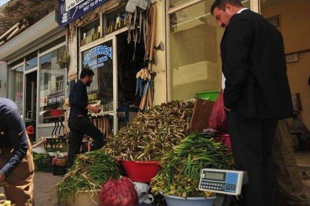 Pancar Pazarına Yoğun İlgi