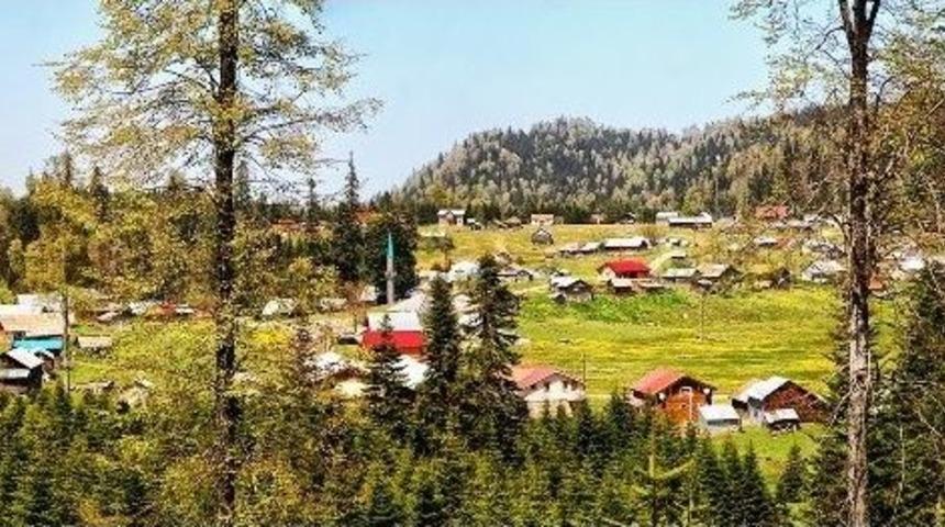 Doğa Y&uuml;r&uuml;y&uuml;şleri Hendek&rsquo;te Devam Etti