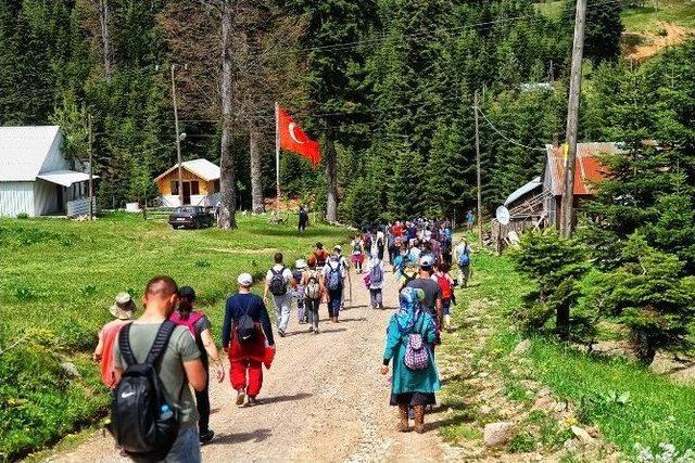 Doğa Yürüyüşleri Hendek’te Devam Etti