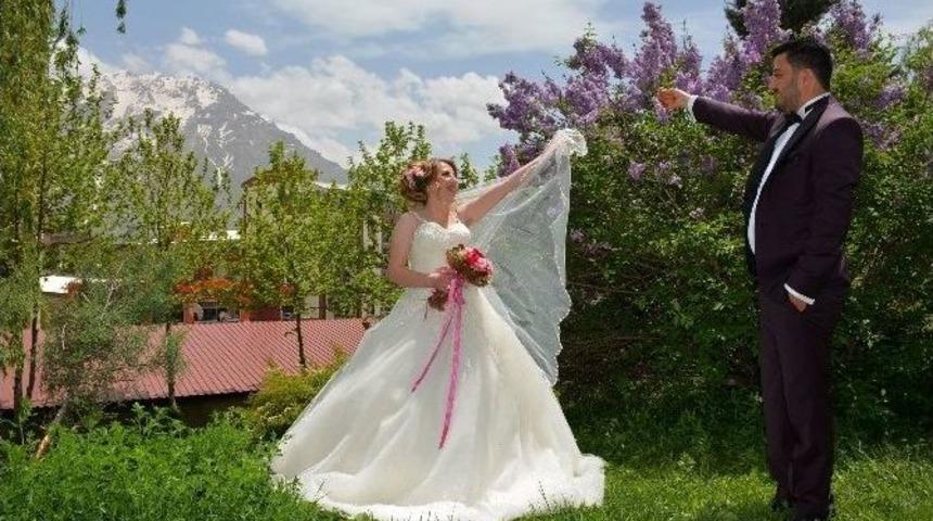 Hakkari&rsquo;de İlk Kır D&uuml;ğ&uuml;n&uuml;