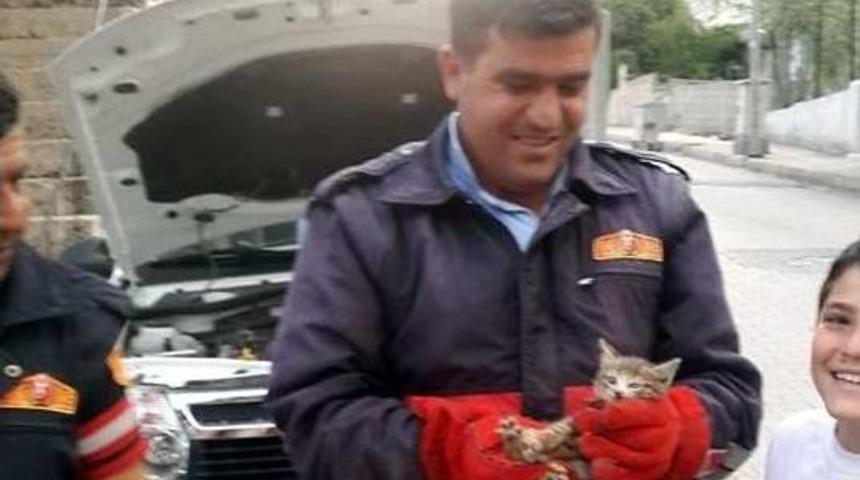 Otomobile Sıkışan Kedi Kurtarıldı