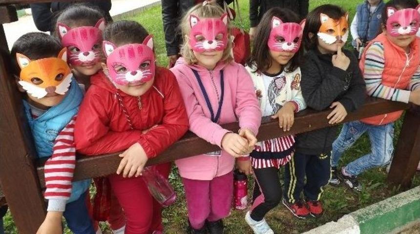 Minikler Hayvan Barınağını Gezdi