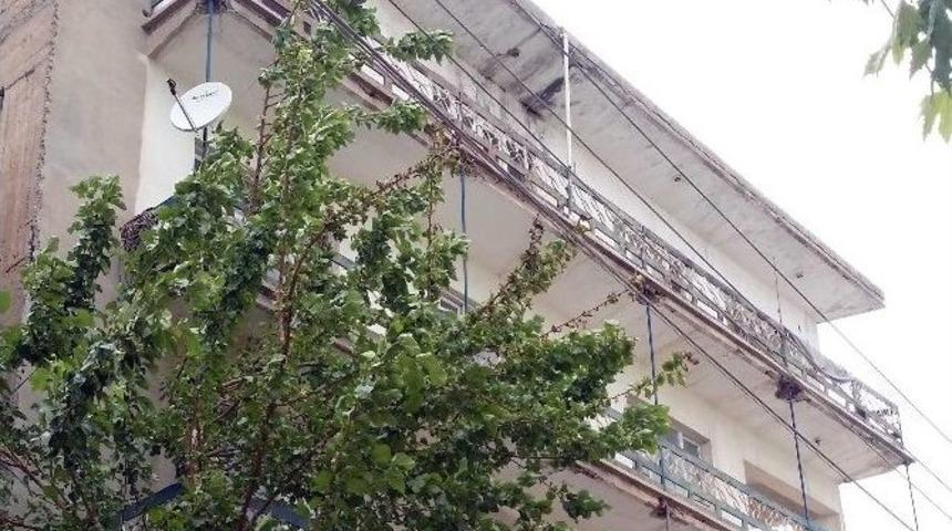 Elektrik Tellerine Temas Eden Ağa&ccedil; Dalları Yandı