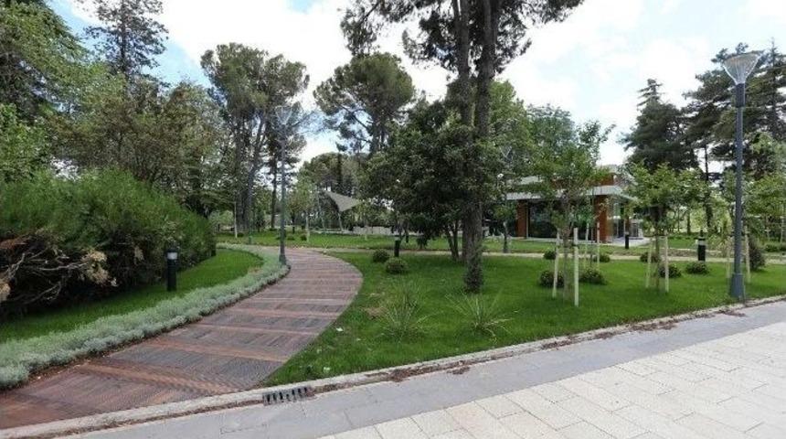 Fıstık Parkı&rsquo;nda Sona Yaklaşıldı