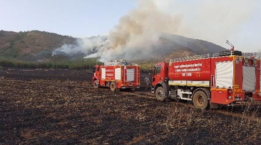 Buğday Tarlasında &Ccedil;ıkan Yangın Ormana Sı&ccedil;radı
