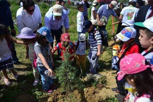 Seyhan Gen&ccedil;lik Merkezi "gen&ccedil; G&ouml;n&uuml;ll&uuml;ler Ağa&ccedil; Dikim Şenliği"projesi 2