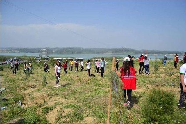 Seyhan Gen&ccedil;lik Merkezi "gen&ccedil; G&ouml;n&uuml;ll&uuml;ler Ağa&ccedil; Dikim Şenliği"projesi 3