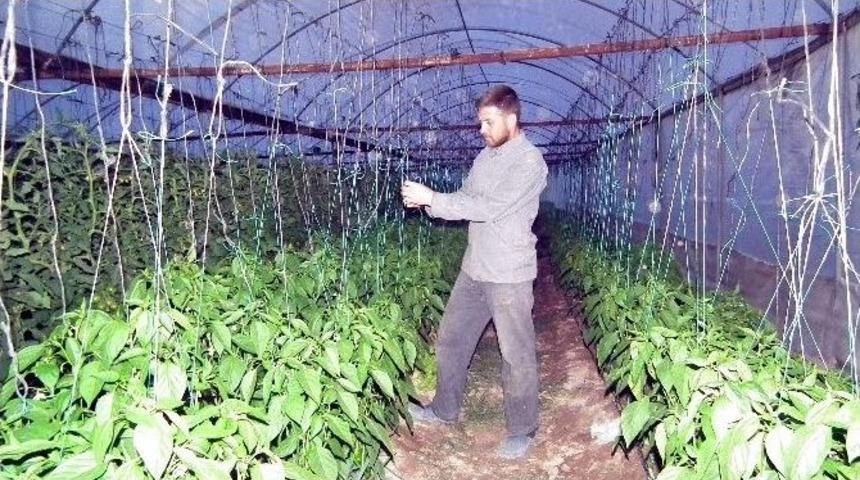 Erdem; &ldquo;aydın&rsquo;da 26 &Ccedil;eşit &Uuml;r&uuml;n&uuml;n Yetiştiği Bir Tarım Kenti&rdquo;