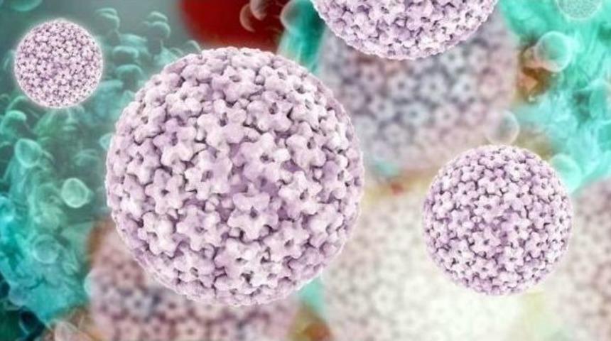 Genitalsiğiller: Kadınların Korkulu R&uuml;yası