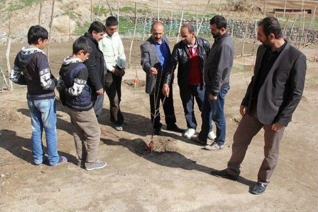 Başkale&rsquo;de Ağa&ccedil;landırma &Ccedil;alışmaları 1