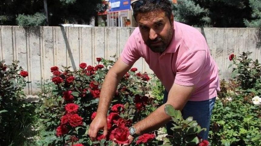 Ter&ouml;r Turizmi Vurdu, Turizmciler Meslek Değiştirdi