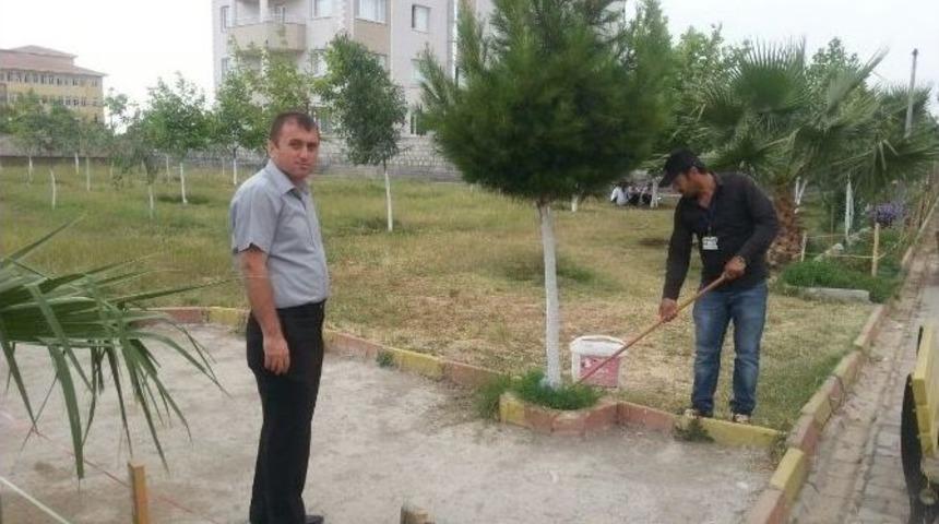 Silopi Atat&uuml;rk Anadolu Lisesinde &Ccedil;evre D&uuml;zenlemesi