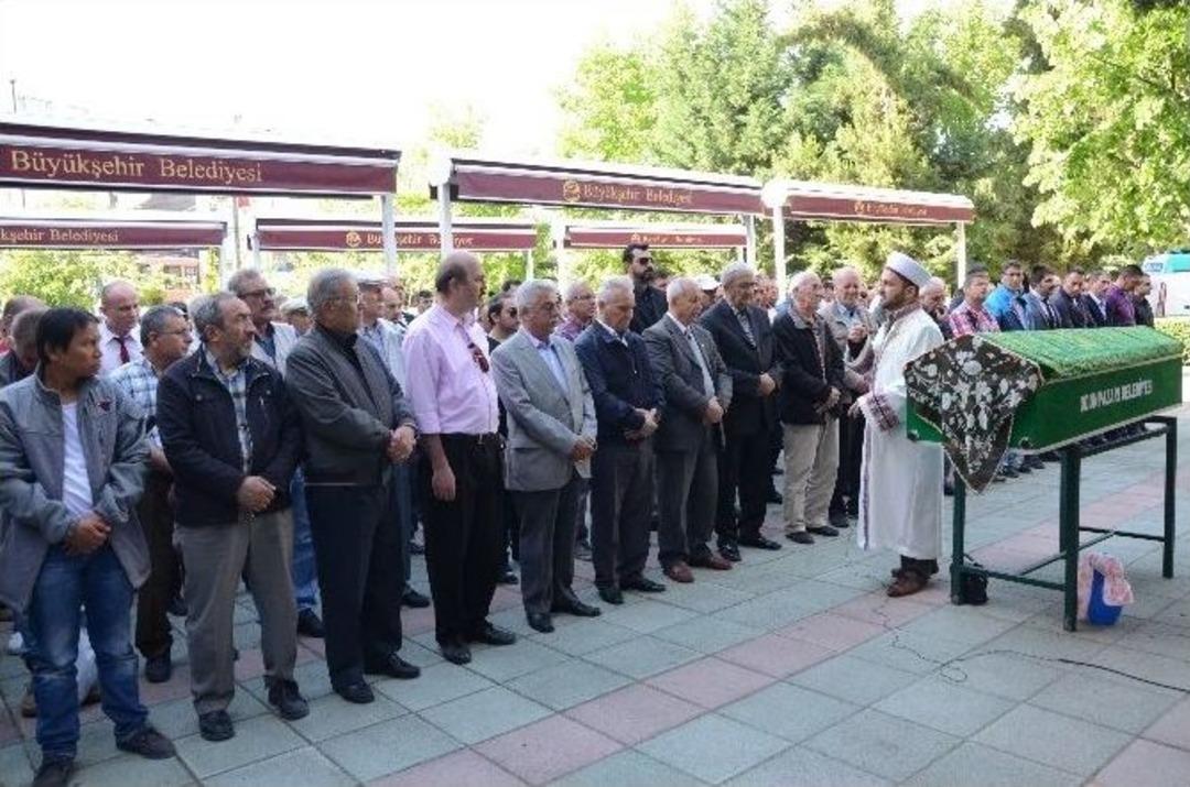 Asırlık &Ccedil;ınar Eşiyle Aynı G&uuml;n &Ouml;ld&uuml;