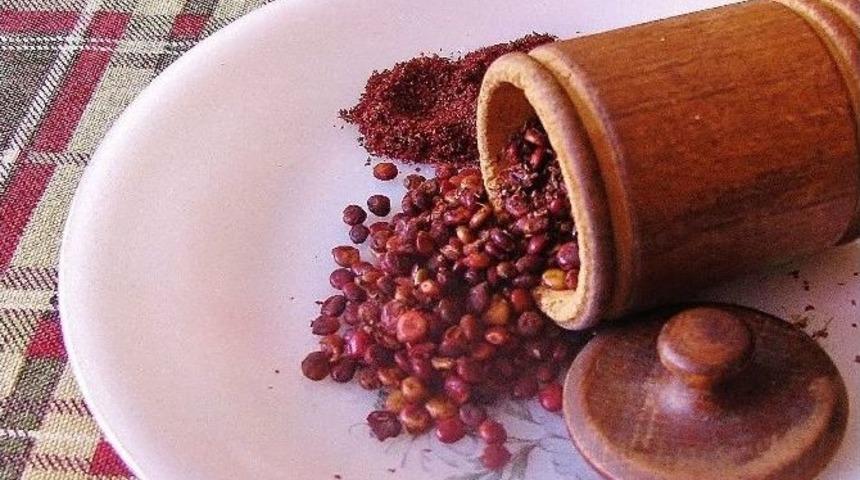 Do&ccedil;. Dr. Oğuz &Ouml;zyaral: &ldquo;sumak Dna Hasarını &Ouml;nl&uuml;yor&rdquo;