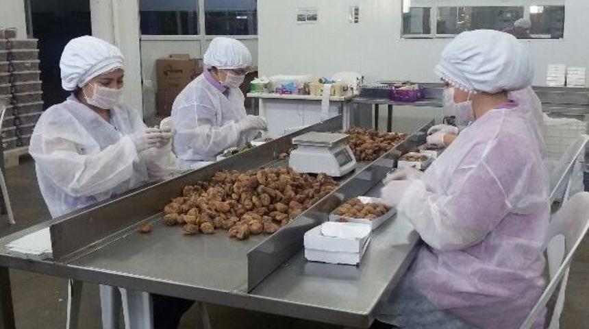 Efeler Diyarı&rsquo;ndan Başkent&rsquo;e Tatlı Hazırlık