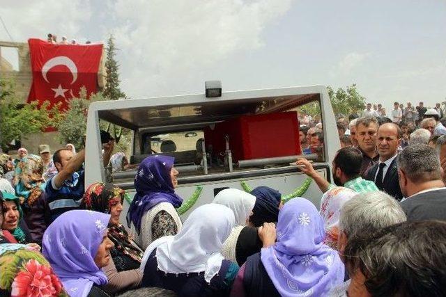 Şehidin Cenazesi Baba Evine Getirildi