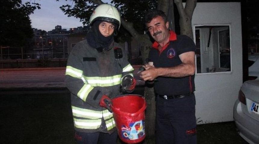 Yavruları Yuvadan D&uuml;şen Saksağana İtfaiye Yardım Etti